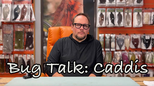 Bug Talk: Caddis