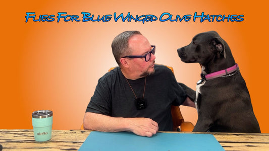 Charlie Talks Flies for Blue Winged Olives
