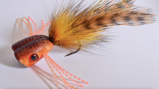 diy fly fishing hooks Dovesun 100pcs Tying Jigs Kit, Jig Heads for Fly Crappie Jigs V-Shaped Fly Fishing 1/124oz : Sports & Outdoors Fly Tying Articles charliesflybox