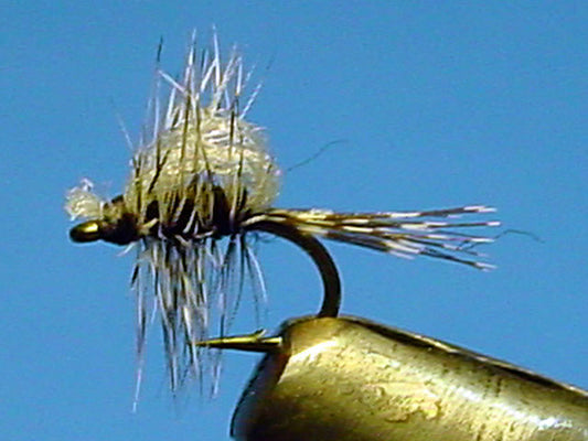 Kimball’s Emerger