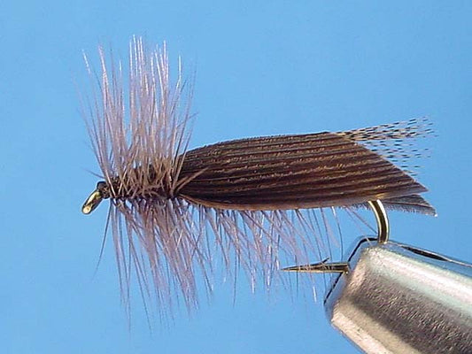 Hemingway Caddis