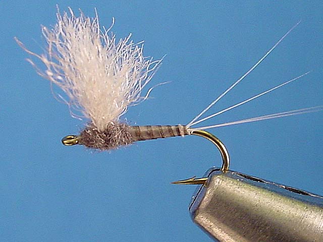 Bunny Dun - Image source: Charlie's Fly Box