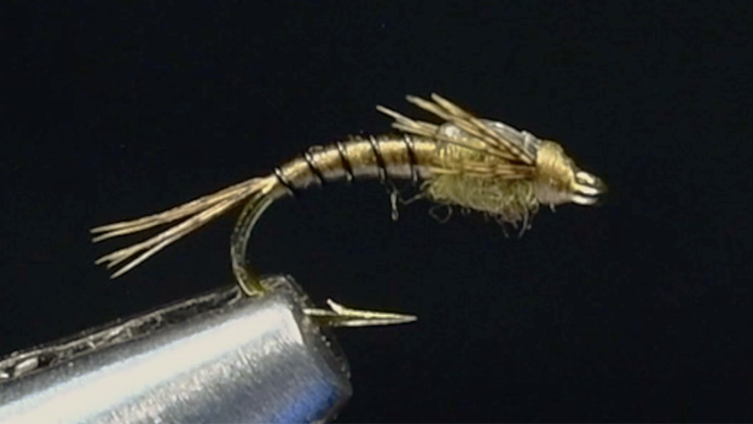 Beatis Pattern Dorsey's Top Secret Beatis Fly Tying Video – charliesflybox