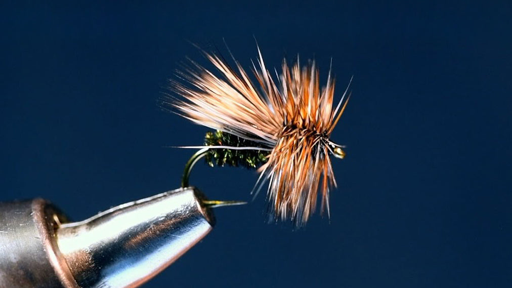 Duranglers Peacock Caddis Fly Tying Video – charliesflybox