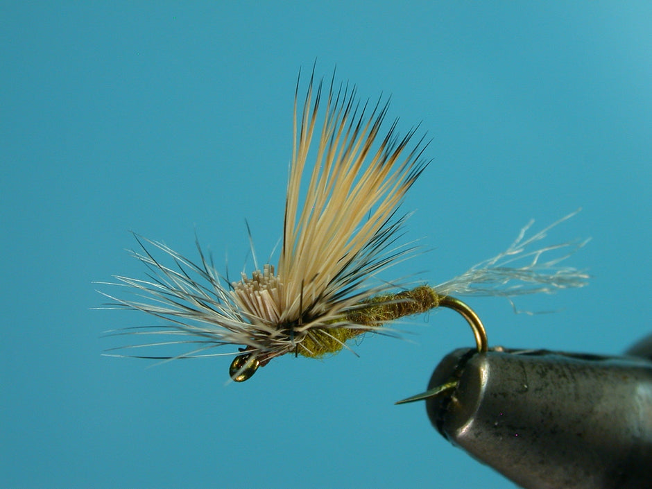 E/C Caddis, Cutter’s