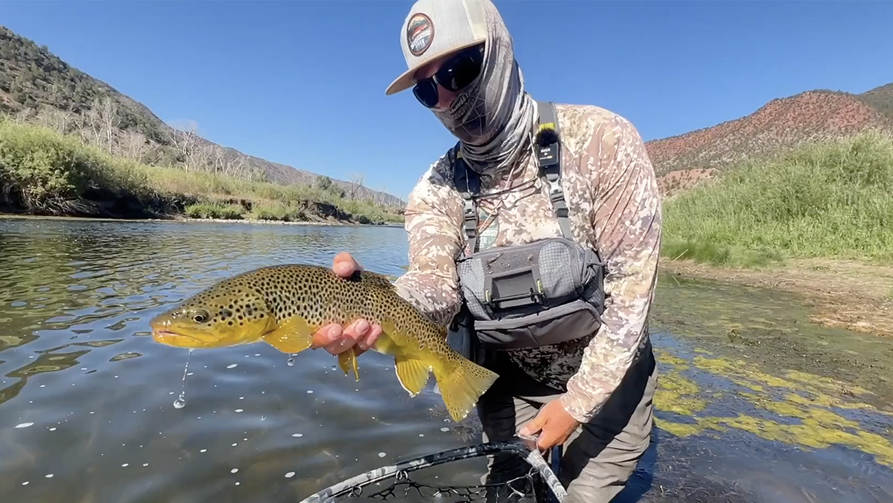 Fishing Sunk Tricos On Drop Shot Rig With Brian Hilbert – charliesflybox