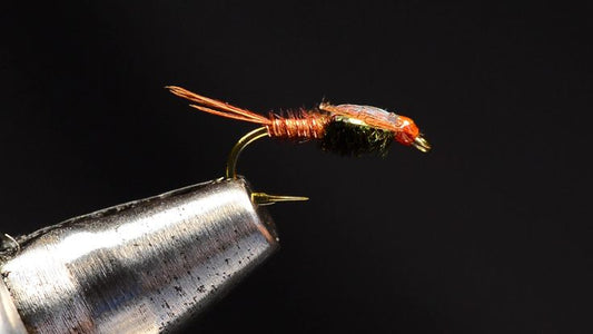 Flashback Pheasant Tail Fly Tying Video