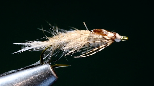 Gilled Nymph Fly Tying Video