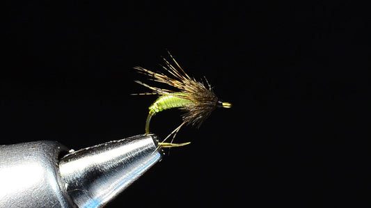Graphic Caddis Fly Tying Video