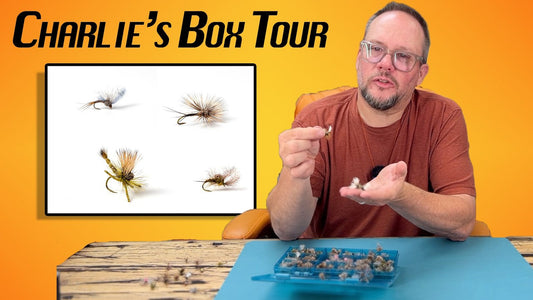Charlie's Box Tour: Green & Grey Drakes