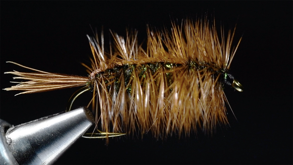 Split Back Fly Halfback Fly Tying Video – Charlie’s Fly Box