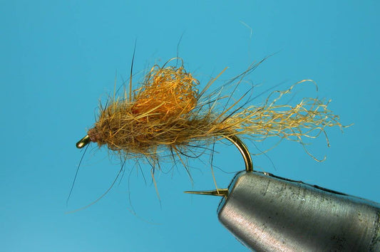 Iris Caddis