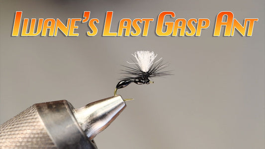 Iwane's Last Gasp Ant Fly Tying Video