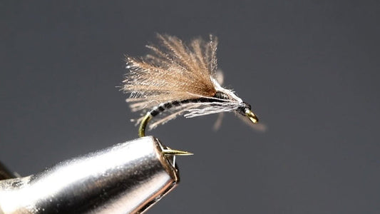 Jujubee Adult Fly Tying Video