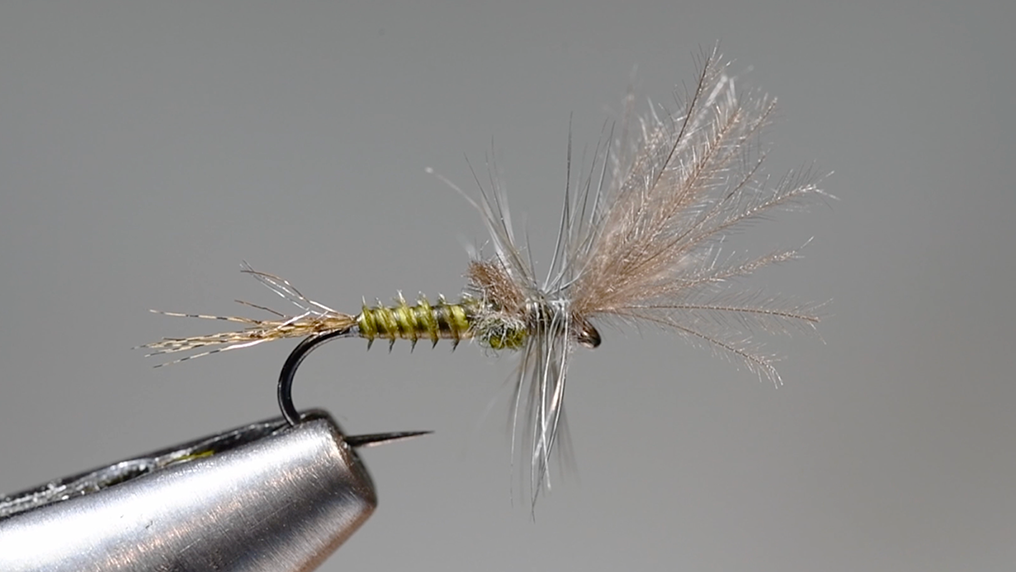 Fly Tying Videos – charliesflybox