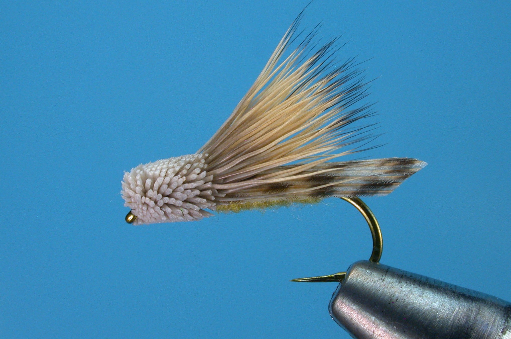 Letort Hopper - Image source: Charlie's Fly Box
