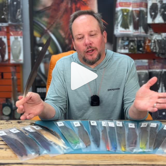 New Canada Goose Biots Now Available!