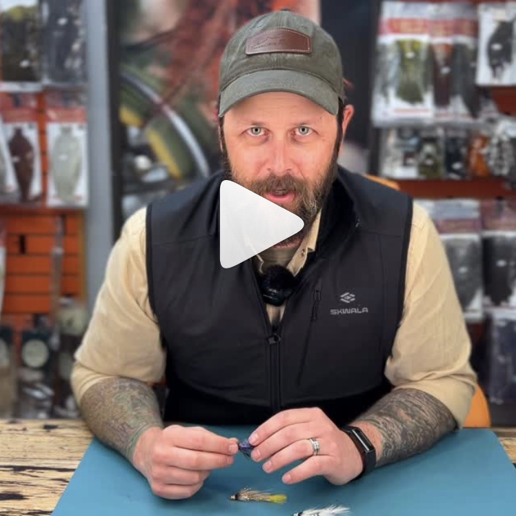 New Wild Lady Signature Fly from our boy Sam Wright! – Charlie’s Fly Box