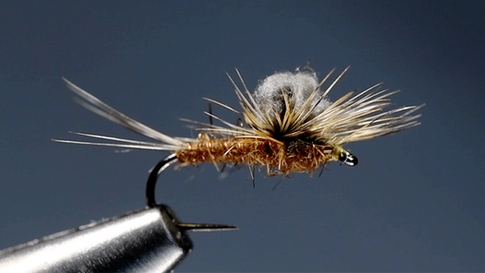 Parachute Floating Nymph Fly Tying Video