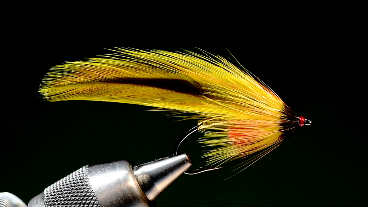 Platte River Special Fly Tying Video charliesflybox