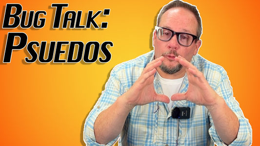 Bug Talk: Pseudocloeons
