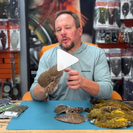 Rolled Partridge Hides are BACK!