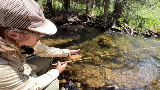 Small Stream Dry Fly Fishing with Max
