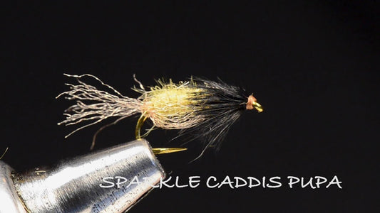 Sparkle Caddis Pupa Fly Tying Video
