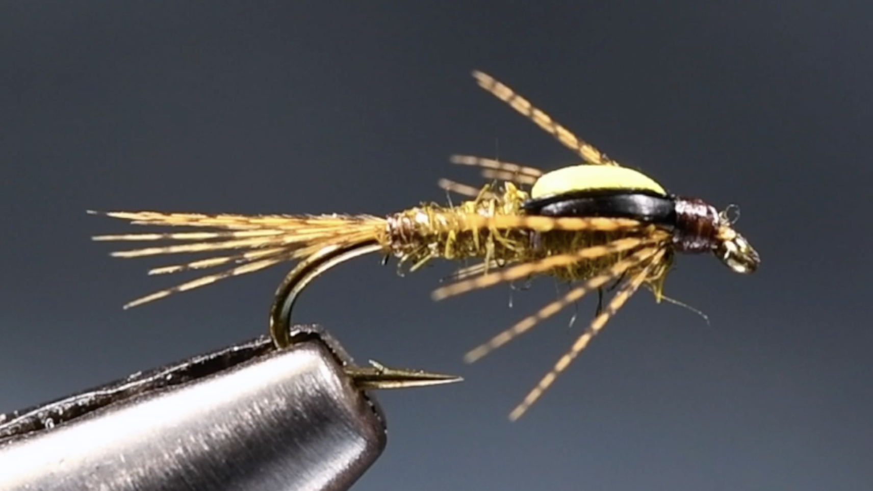 Split Fly Split Foam Back Emerger Fly Tying Video – charliesflybox
