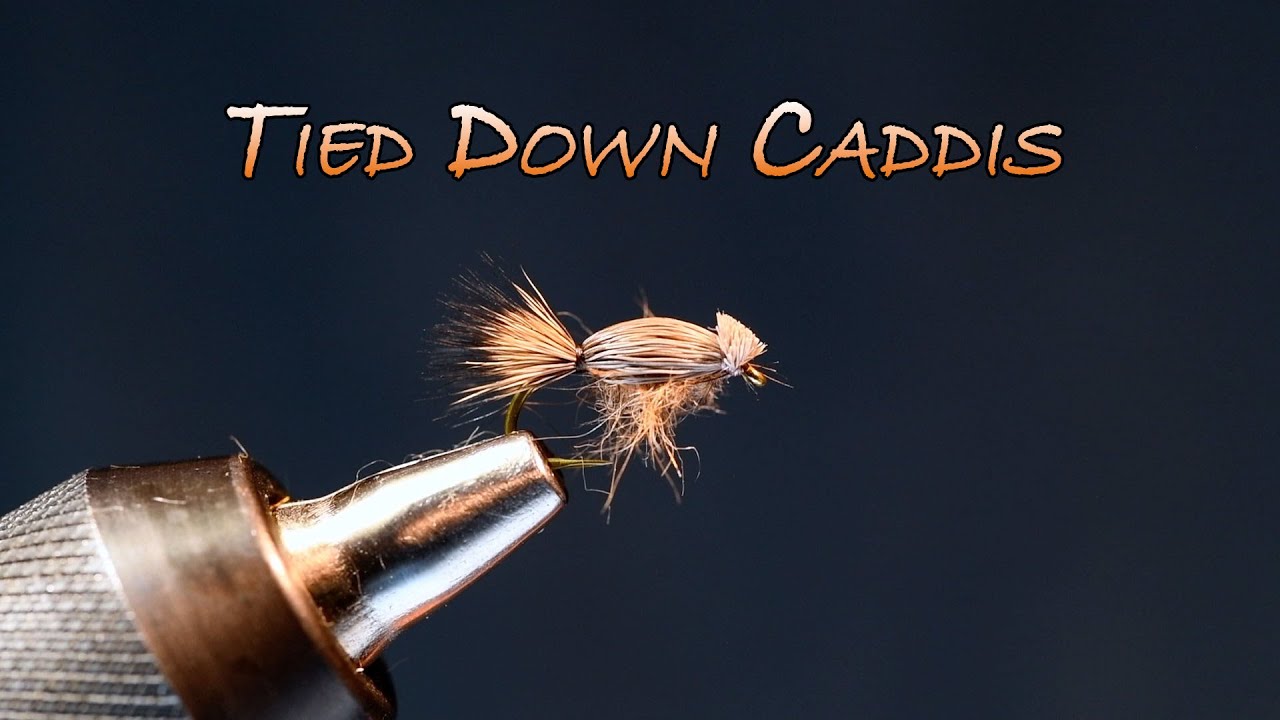 Fly Down Tied Down Caddis Fly Tying Video โ charliesflybox
