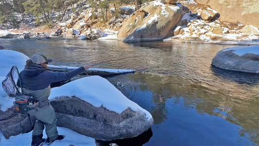 Winter Jigged Streamer Fishing in Cheesman Canyon