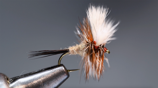 Ausable Wulff Fly Tying Video