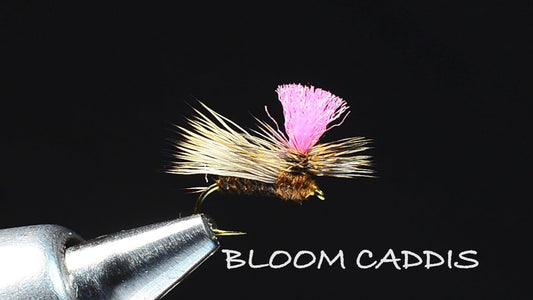 Bloom Caddis Fly Tying Video