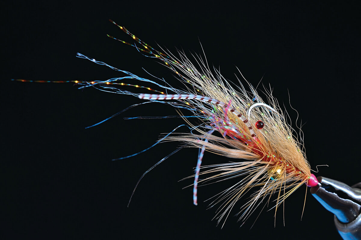 Chewy's Halo Shrimp - Image source: Charlie's Fly Box