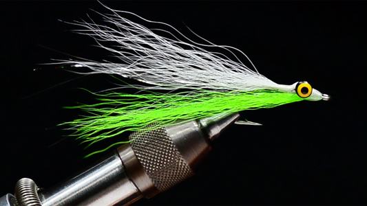 Clouser Minnow Fly Tying Video