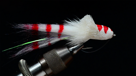 Dahlberg Diver Fly Tying Video