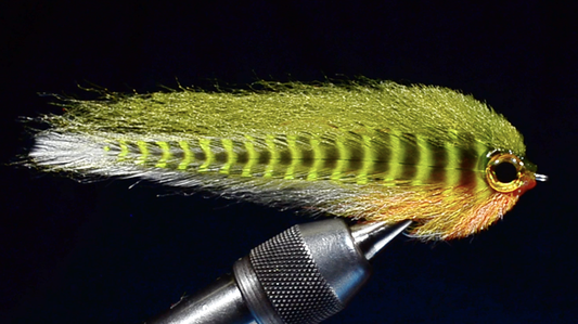 EP Minnow Fly Tying Video