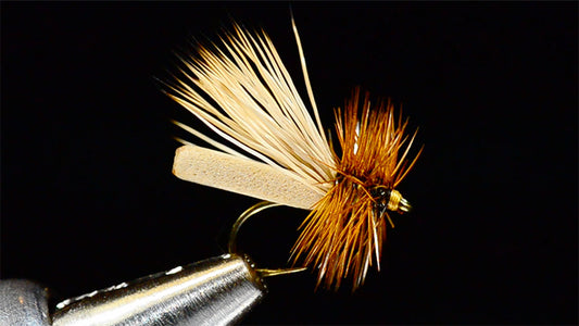 Puterbaugh Caddis Fly Tying Video