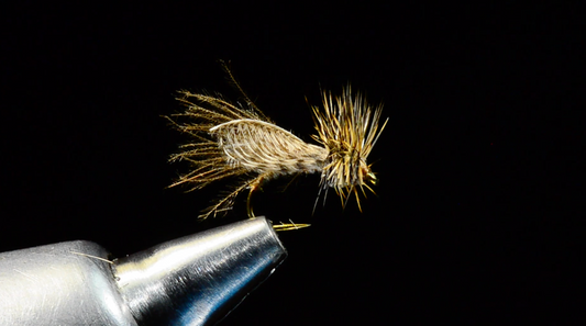 Gerbec's Resting Caddis Fly Tying Video