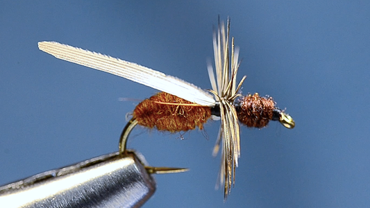 Harrop Ant Fly Tying Video
