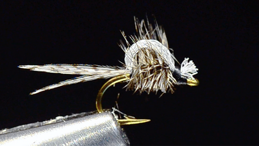 Kimball's Emerger Fly Tying Video