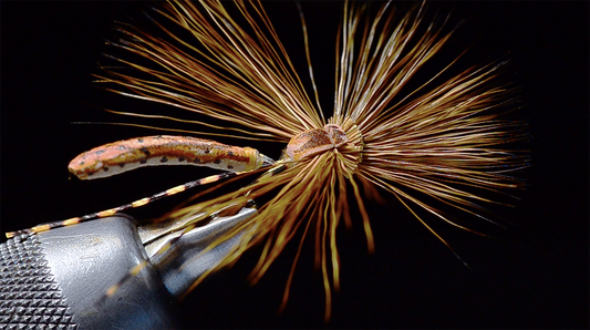 Mr. Jones Cranefly Fly Tying Video