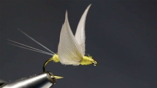 No Hackle Fly Tying Video