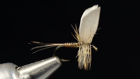 Quill Wing Dry Fly Tying Video