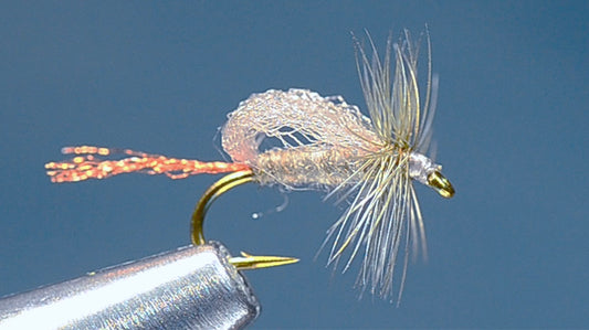 Roy's Special Emerger Fly Tying Video