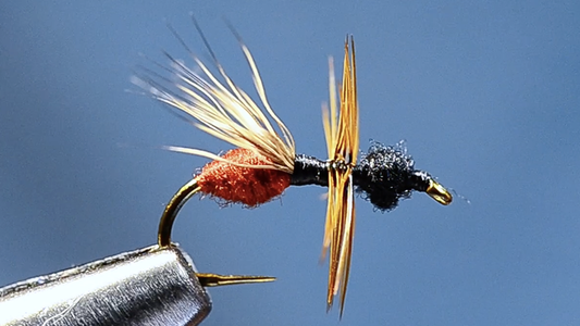 Spant Fly Tying Video