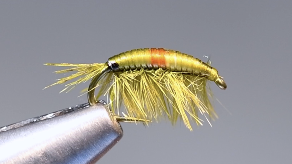 Scida Fly Tucker Scud Fly Tying Video – Charlie’s Fly Box