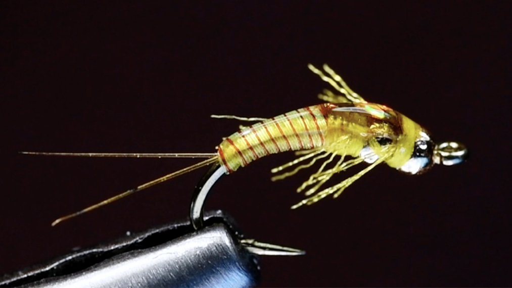 Two Bit Sally Fly Tying Video – charliesflybox