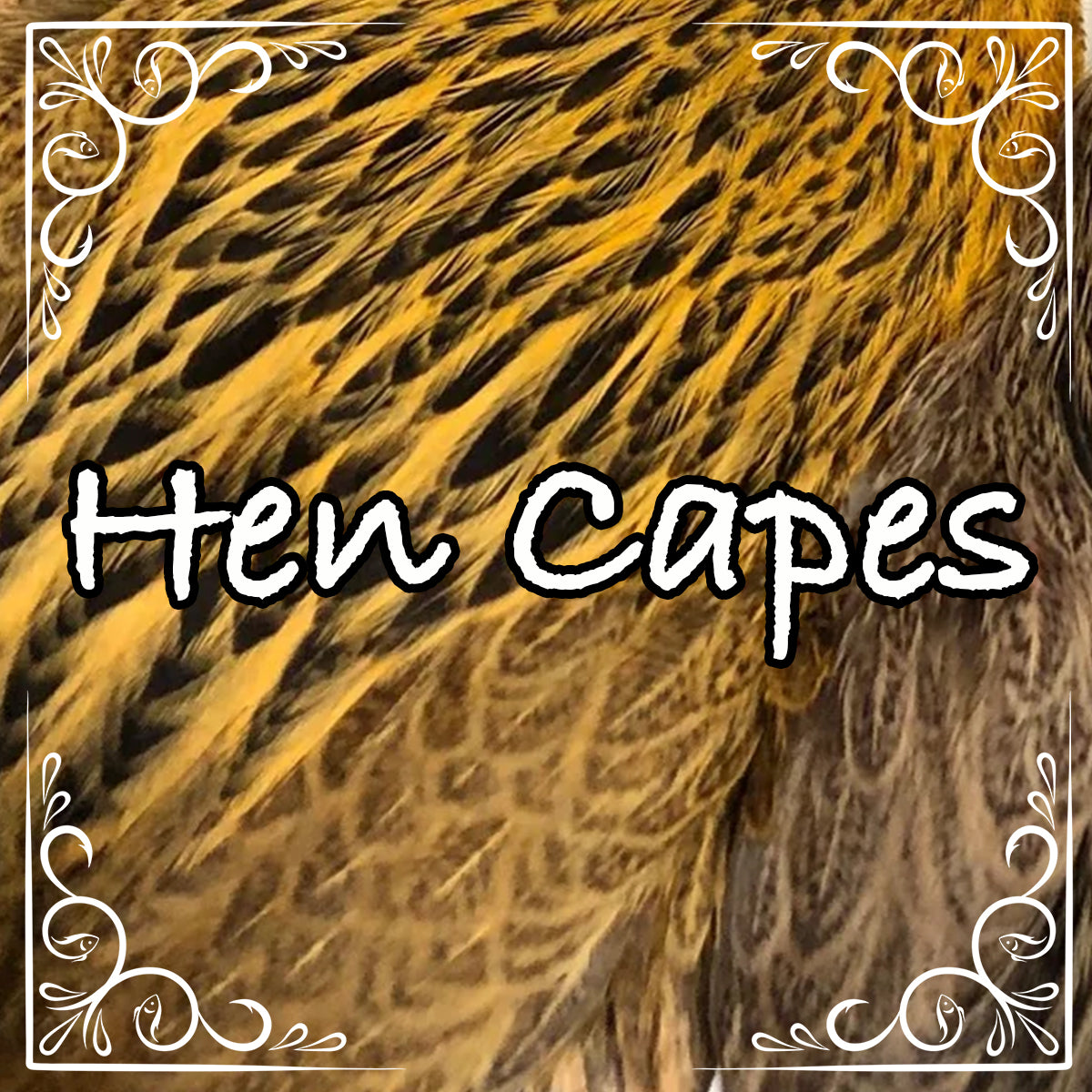 Whiting Hen Capes