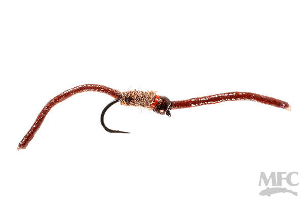 trinas squirm 1